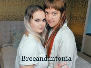 Breeandantonia