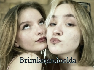 Brimlanandnelda