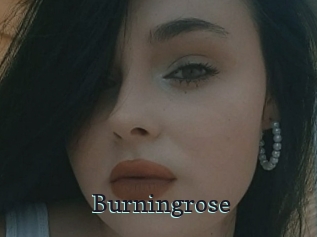 Burningrose