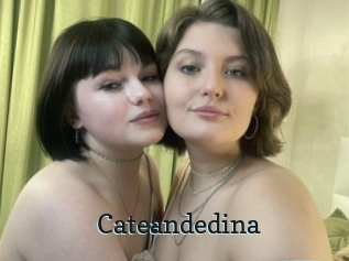 Cateandedina