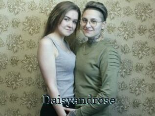 Daisyandrose