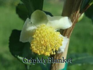 GripMyBlanket