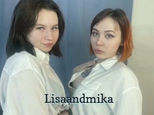 Lisaandmika