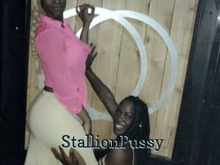 StallionPussy